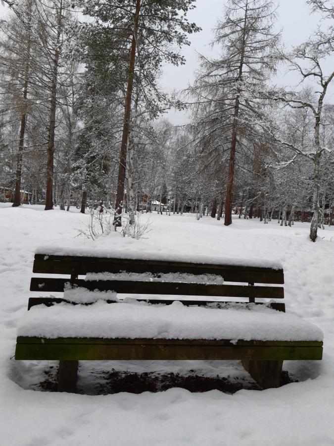 Suite Panoramablick Seefeld سيفيلد ان تيرول المظهر الخارجي الصورة