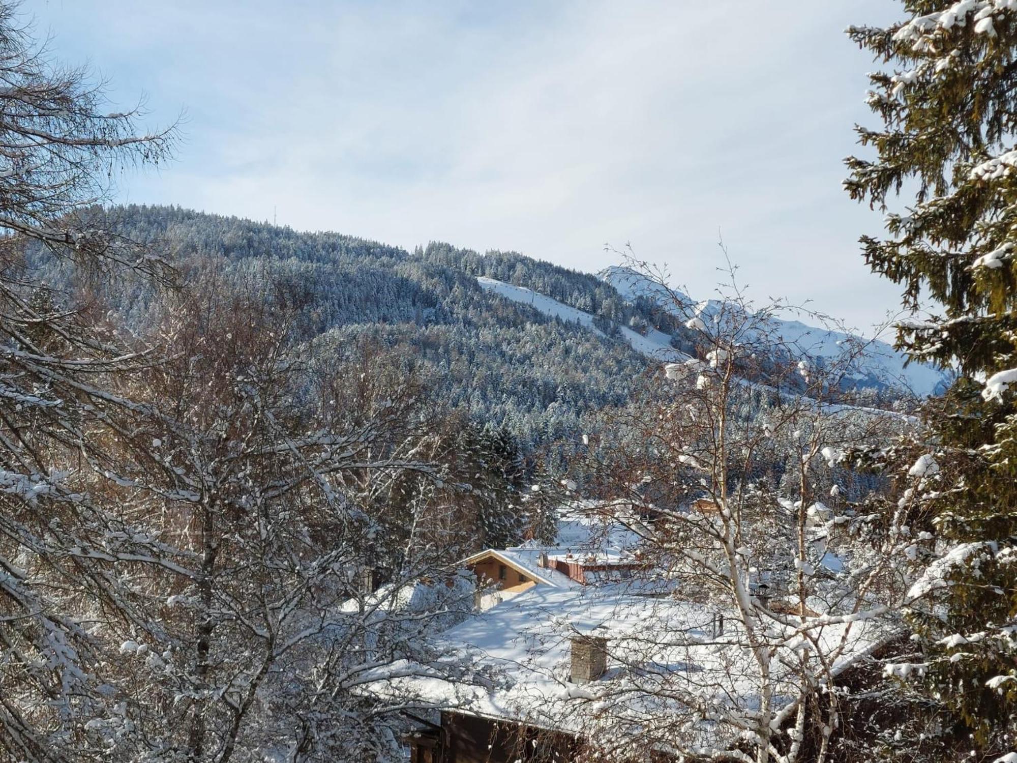 Suite Panoramablick Seefeld سيفيلد ان تيرول المظهر الخارجي الصورة
